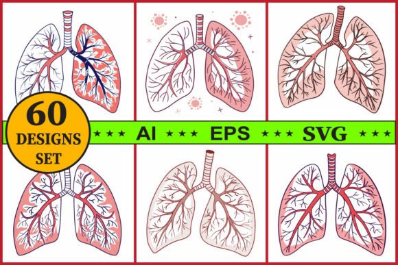 Human Lungs Anatomy Vector Clipart Set Review